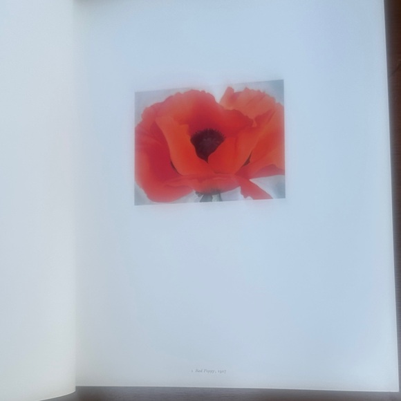 Vintage Georgia O'Keeffe “one hundred flowers” Art Book - Picture 4 of 5